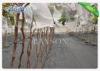Agriculture Industry Use Non Woven Fruit Protection Bag Keep From Worms Bitting