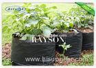 PP Non Woven Skirting Bags / Non Woven Horticulture Covers For Seed Cultivation