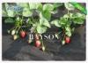Customized Color Permeable Non Woven Landscape Fabric 20-50gsm For Ground Control