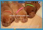 Heavy Duty Puppy Id Collars Waterproof Printed Hook And Loop Fastener