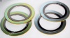 CGI Inner & Outer Rings spiral wound gaskets