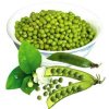 green mung bean green moong bean