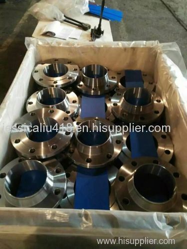 Steel pipe blank Slip On flanges with raised face