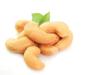 High quality dried raw cashew nuts for sale