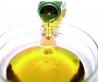 Crude Refined rapeseed oil