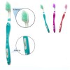 Colorized New Adult Toothbrush