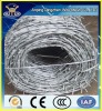 anping professional supplier galvanized barbed wire manufacture