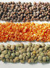 green lentils HPS quality dry green import red lentils