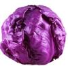 fresh round purple cabbage