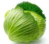 fresh round chinese cabbage