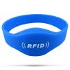 Oval-Head Closed Loop Silicone Wristband