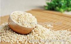 sorghum rice with grade one