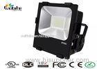 Cool White Outdoor LED Flood Lighting 100W With Bridgelux Light Source