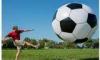 Advertising Customize Inflatable Soccer Ball Balloons for Football Sports Event