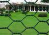 2 inch Woven PVC Coated Rabbit Wire Netting With Low Carbon Steel 3/4'' Galvanized