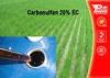 Carbosulfan 20% EC Pest control insecticides 55285-14-8