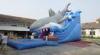 Fantastic Bouncy Inflatable Water Parks Inflatable Water Slide