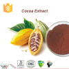 Natural cocoa seed extract