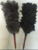 Ostrich feather duster new