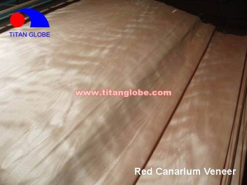 Natural Wood Veneer For Plywood / Cheap Hardwood Veneer / MLH Veneer - Titan Globe