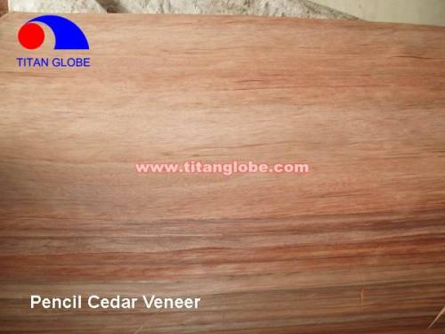 Natural Wood Veneer For Plywood / Cheap Hardwood Veneer / MLH Veneer - Titan Globe