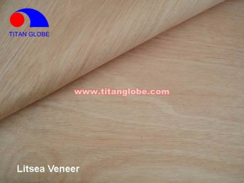 Natural Wood Veneer For Plywood / Cheap Hardwood Veneer / MLH Veneer - Titan Globe