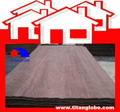 Red Face Veneer Red MLH Veneer Red Hardwood Veneer - Titan Globe