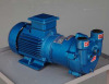 2BV series Water Ring Vacuum Pump