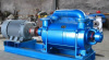 2SK Water Ring Vacuum Pump