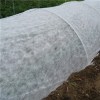 Anti-UV Crop Cover Non Woven