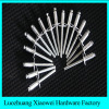 Factory low price open end blind rivets