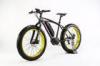 48V 10Ah Fat Tire Mountain Electric Bike 350W Electric Powered Mountain Bike