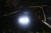 3 In 1 Multifunction Outdoor Camping Lantern Portable Led Lamp For Emergency