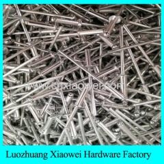 Low price wholesale all steel large flange blind rivet