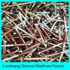 off high quality large flange blind rivet