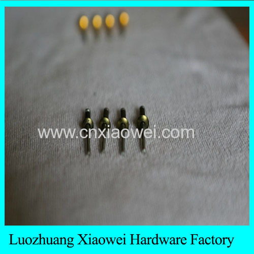 Stainless Steel Large Flange Head Blind Rivets