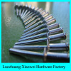 Stainless steel Structural blind rivet