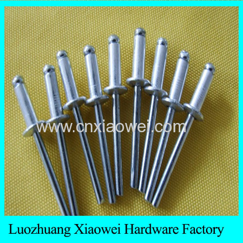 high quality large flange head aluminum bolt blind rivets