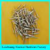 factory directly supply 304 flange sealed blind rivet