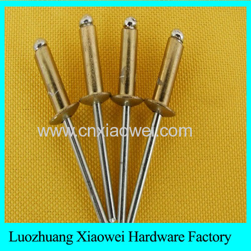 High Grade Certified Factory Supply Fine High quality aluminium waterproof Blind Rivet