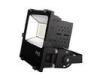 Anti Flickering Outdoor Flood Lights LED High Power LED Landscape Flood Lights