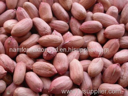 quality peanuts for sale