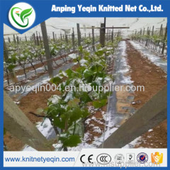 Anti hail net with UV for agriculture