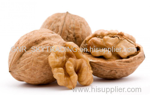 walnuts in shell price