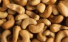 Raw Cashew Nuts for sale