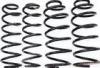 Adjustable Right Handed Suspension Coil Spring / Custom Automotive Coil Springs