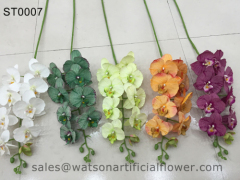 the orchid flower from Tianjin Watson Gifts Co Ltd