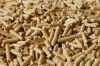 High Quality 100% Biomass Wood Pellet