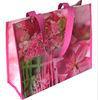 Foldable Cotton / Nylon Reusable Shopping Bags / Tote For Women