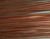 Safely protected Copper Clad Steel Ground Rod for electrical grounding system